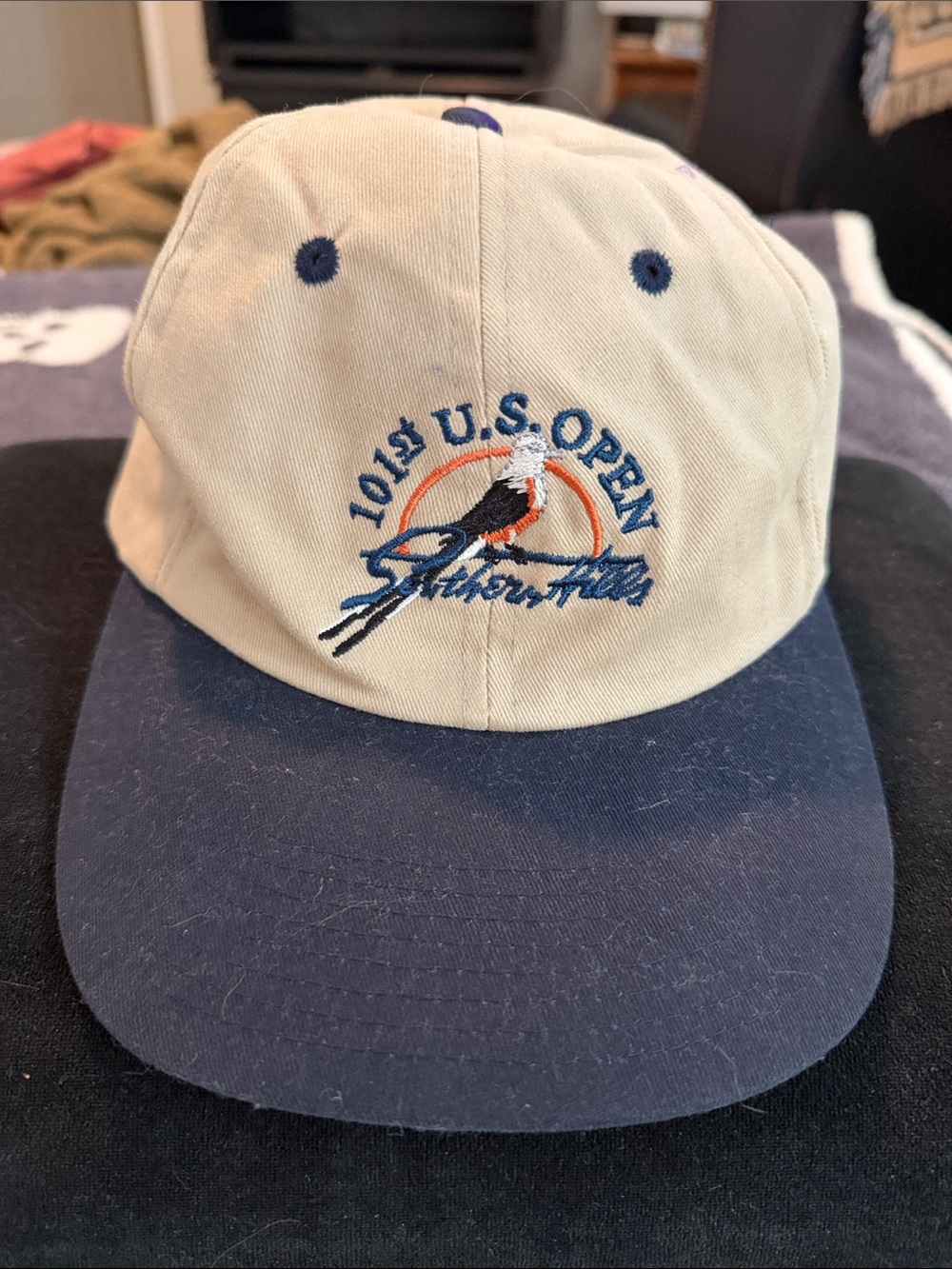 Vintage 101st U.S. Open Golf Southern Hills OK USGA member hat ball cap